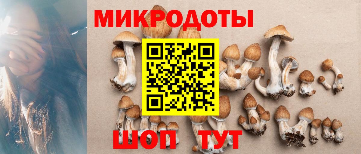Прохладный  цены   Вход с VPN  Псилоцибиновые грибы мухоморы  Галлюциногенные грибы мицелий 